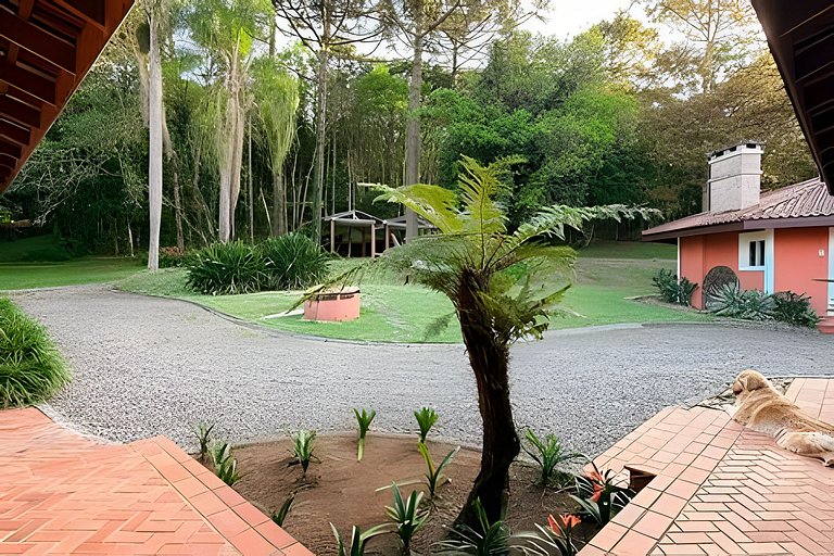 Chácara Deslumbrante 40min de Curitiba c/ Piscina