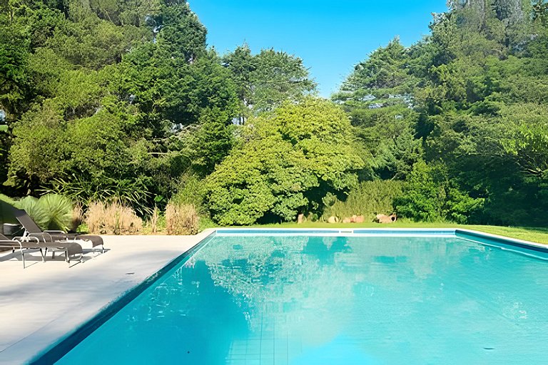 Chácara Deslumbrante 40min de Curitiba c/ Piscina